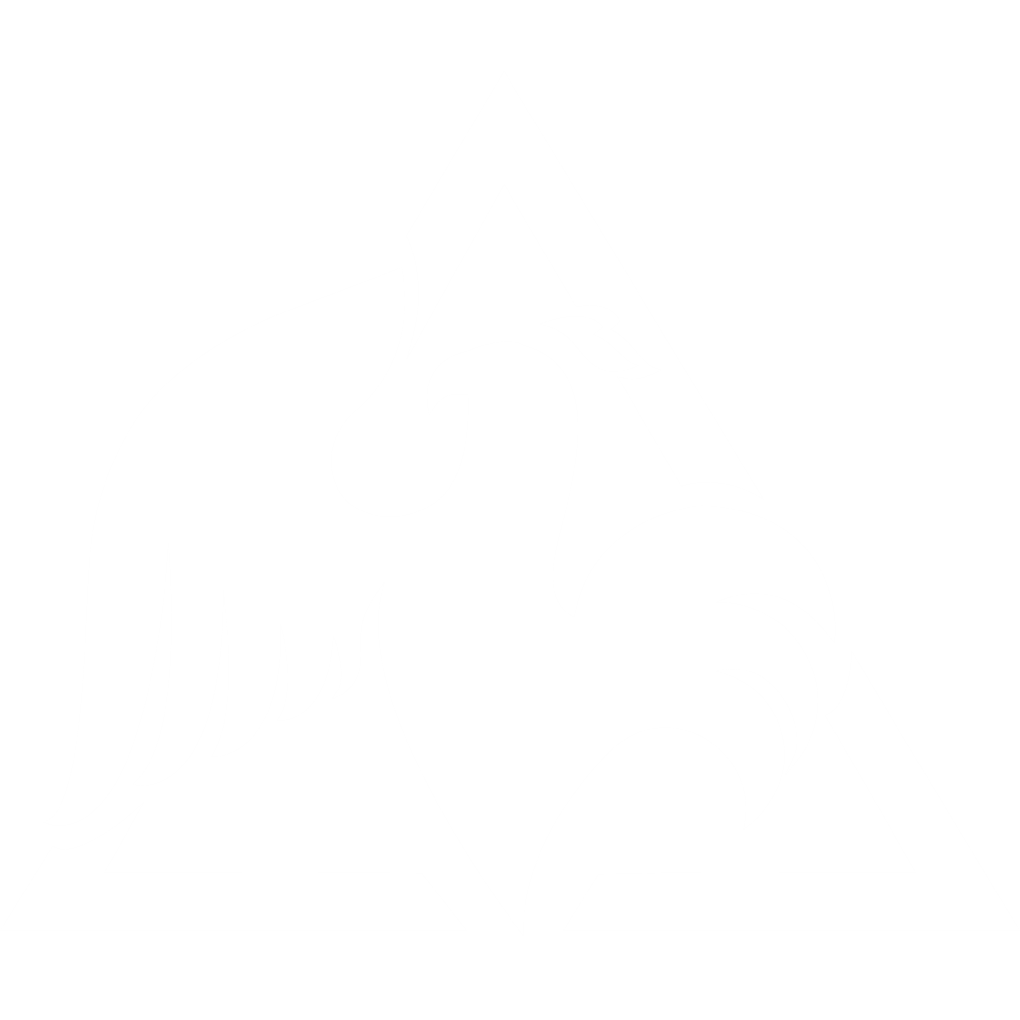 Association des Français de Karlsruhe e.V.